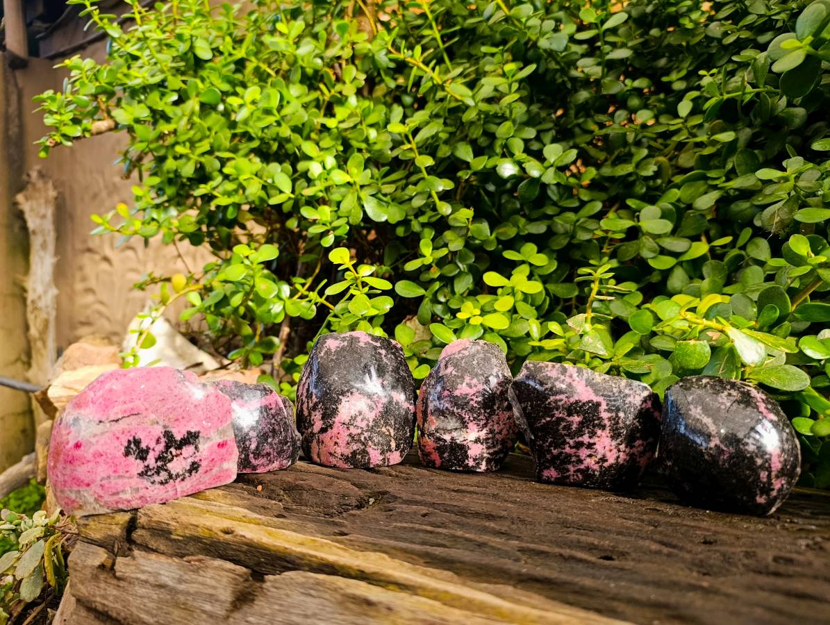 Polished On One Side Rhodonite x 6 from Madagascar - Toprock Gemstones and Minerals 