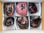 Polished On One Side Rhodonite x 6 from Madagascar - Toprock Gemstones and Minerals 