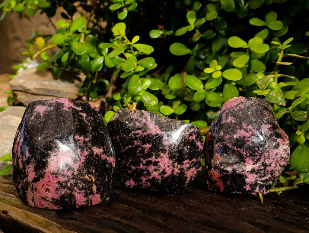 Polished On One Side Rhodonite x 6 from Madagascar - Toprock Gemstones and Minerals 