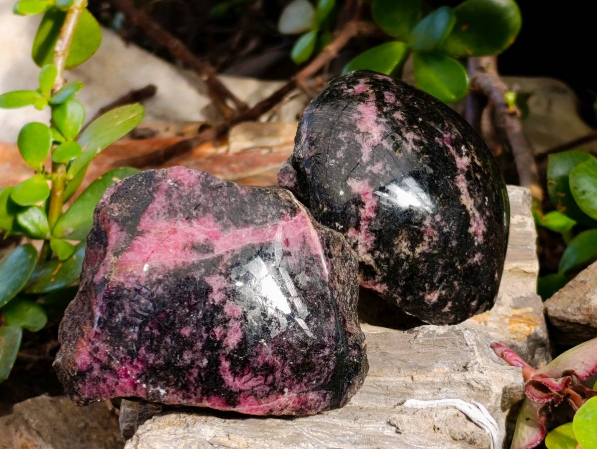 Polished On One Side Rhodonite x 6 from Madagascar - Toprock Gemstones and Minerals 