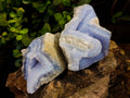 Natural Blue Lace Agate Geode Specimens x 5 From Nsanje, Malawi - Toprock Gemstones and Minerals 