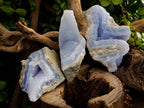 Natural Blue Lace Agate Geode Specimens x 5 From Nsanje, Malawi - Toprock Gemstones and Minerals 