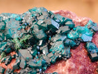 Natural Dioptase On Dolomite Specimens x 4 From Likasi, Congo - Toprock Gemstones and Minerals 