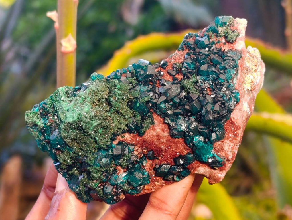Natural Dioptase On Dolomite Specimens x 4 From Likasi, Congo - Toprock Gemstones and Minerals 