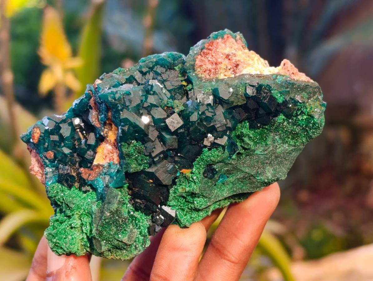 Natural Dioptase On Dolomite Specimens x 4 From Likasi, Congo - Toprock Gemstones and Minerals 