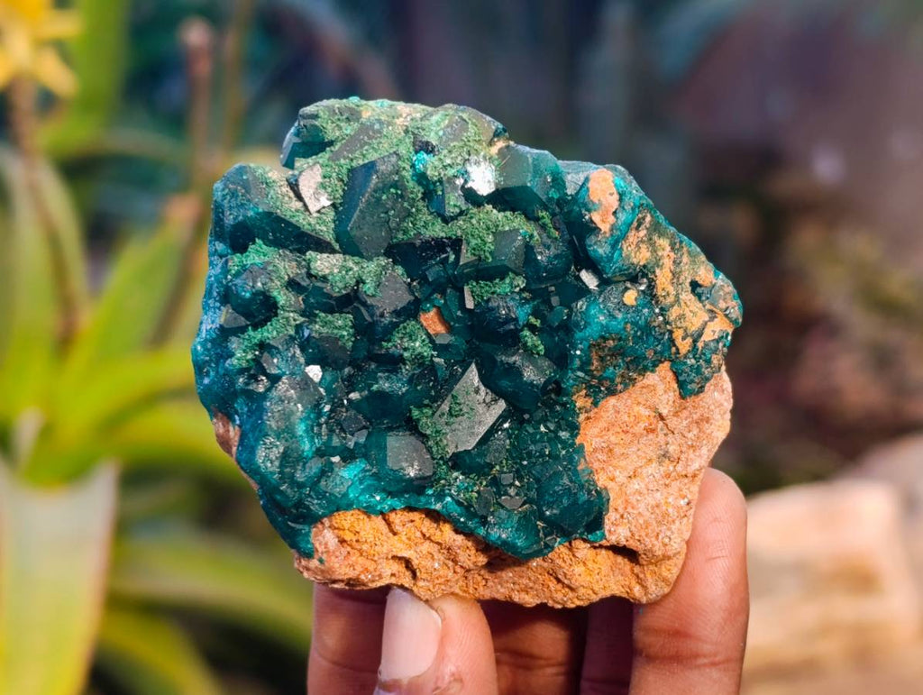 Natural Dioptase On Dolomite Specimens x 4 From Likasi, Congo - Toprock Gemstones and Minerals 