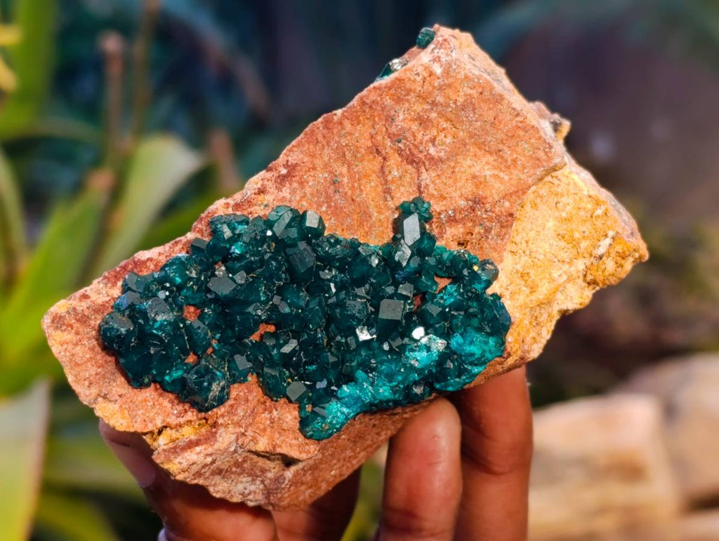 Natural Dioptase On Dolomite Specimens x 4 From Likasi, Congo - Toprock Gemstones and Minerals 