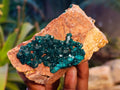 Natural Dioptase On Dolomite Specimens x 4 From Likasi, Congo - Toprock Gemstones and Minerals 