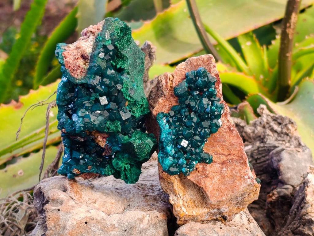 Natural Dioptase On Dolomite Specimens x 4 From Likasi, Congo - Toprock Gemstones and Minerals 
