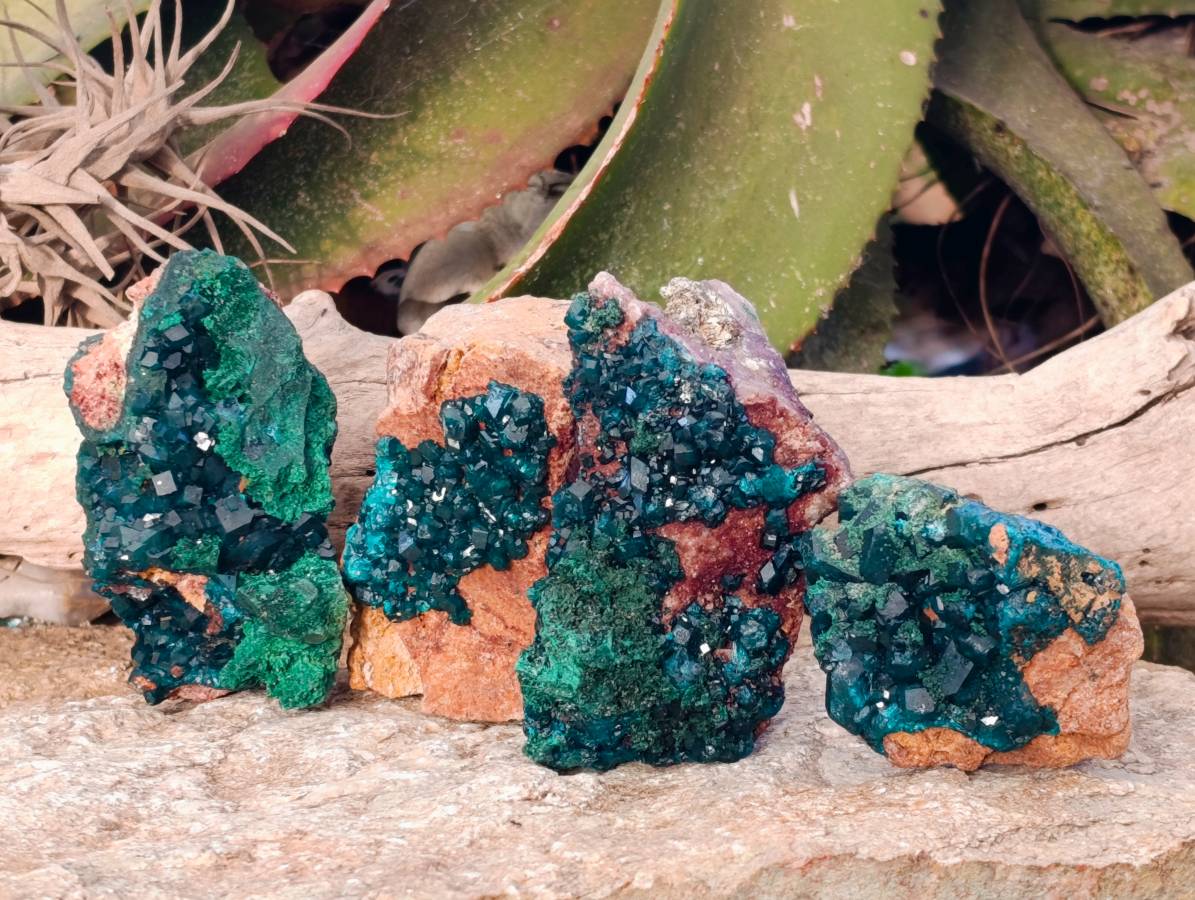 Natural Dioptase On Dolomite Specimens x 4 From Likasi, Congo - Toprock Gemstones and Minerals 