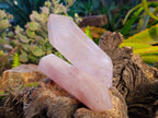 Polished Double Terminated Rose Quartz Points x 6 From Madagascar - Toprock Gemstones and Minerals 