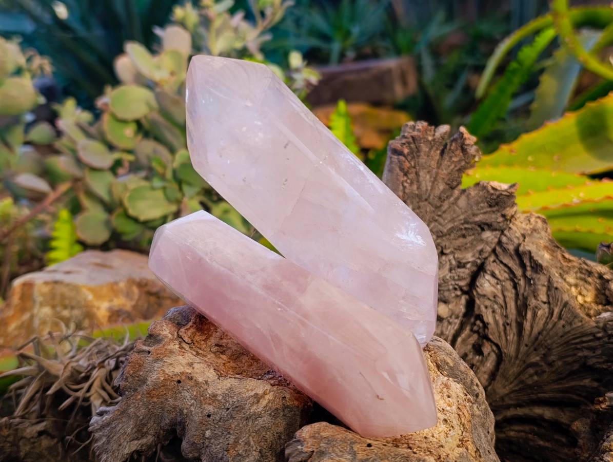 Polished Double Terminated Rose Quartz Points x 6 From Madagascar - Toprock Gemstones and Minerals 