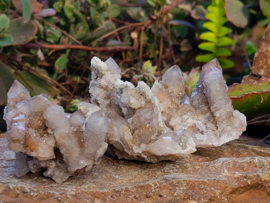 Natural Fairy Spirit Quartz Clusters x 12 From Boekenhouthoek, South Africa - Toprock Gemstones and Minerals 