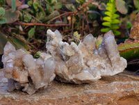 Natural Fairy Spirit Quartz Clusters x 12 From Boekenhouthoek, South Africa - Toprock Gemstones and Minerals 