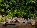Natural Fairy Spirit Quartz Clusters x 12 From Boekenhouthoek, South Africa - Toprock Gemstones and Minerals 