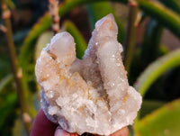 Natural Fairy Spirit Quartz Clusters x 12 From Boekenhouthoek, South Africa - Toprock Gemstones and Minerals 