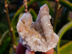Natural Fairy Spirit Quartz Clusters x 12 From Boekenhouthoek, South Africa - Toprock Gemstones and Minerals 