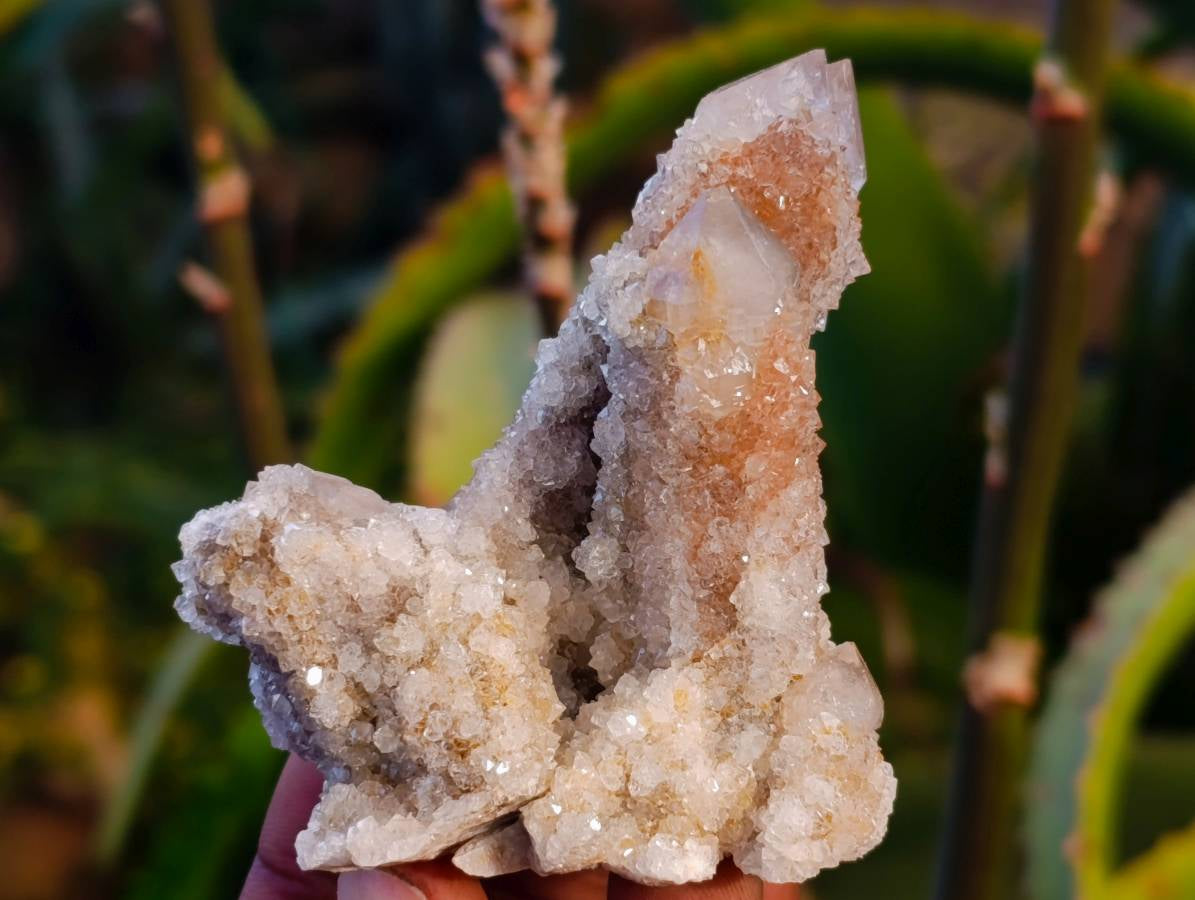 Natural Fairy Spirit Quartz Clusters x 12 From Boekenhouthoek, South Africa - Toprock Gemstones and Minerals 