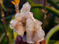 Natural Fairy Spirit Quartz Clusters x 12 From Boekenhouthoek, South Africa - Toprock Gemstones and Minerals 