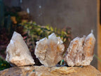 Natural Fairy Spirit Quartz Clusters x 12 From Boekenhouthoek, South Africa - Toprock Gemstones and Minerals 