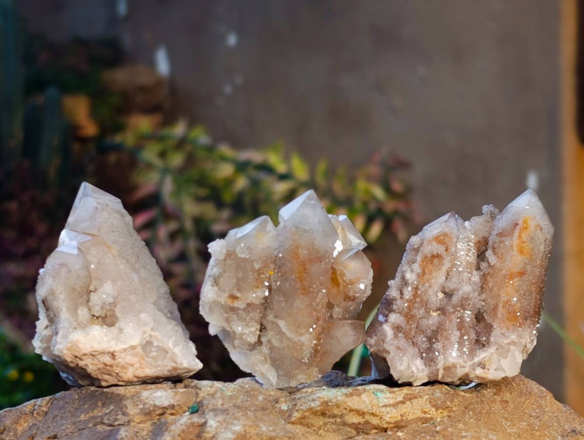 Natural Fairy Spirit Quartz Clusters x 12 From Boekenhouthoek, South Africa - Toprock Gemstones and Minerals 