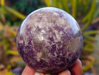 Polished Lepidolite With Pink Rubellite Spheres x 4 From Ambatondrazaka, Madagascar - Toprock Gemstones and Minerals 
