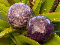 Polished Lepidolite With Pink Rubellite Spheres x 4 From Ambatondrazaka, Madagascar - Toprock Gemstones and Minerals 