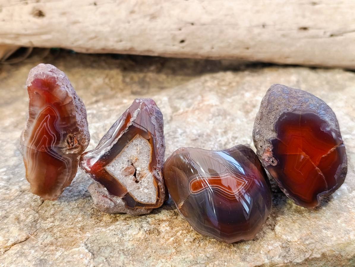 Polished On One Side Red Sashe River Agate Nodules x 20 From Zimbabwe - Toprock Gemstones and Minerals 