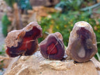 Polished On One Side Red Sashe River Agate Nodules x 20 From Zimbabwe - Toprock Gemstones and Minerals 