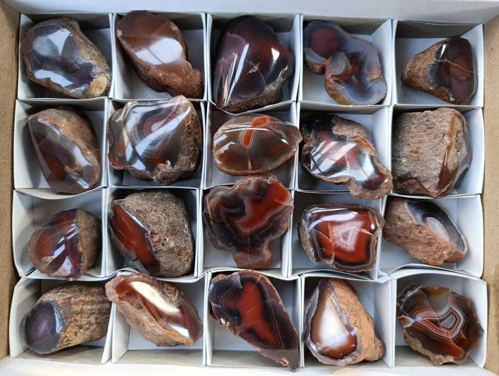 Polished On One Side Red Sashe River Agate Nodules x 20 From Zimbabwe - Toprock Gemstones and Minerals 