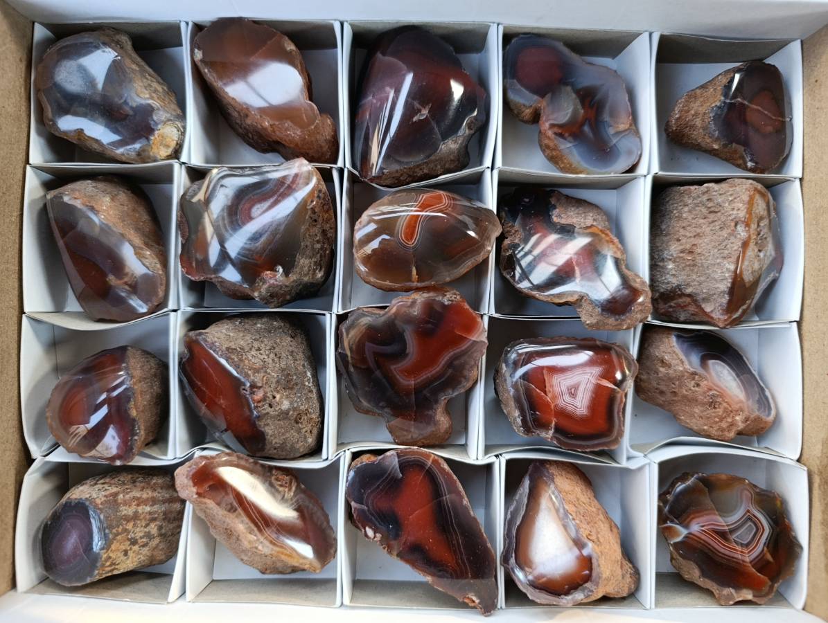 Polished On One Side Red Sashe River Agate Nodules x 20 From Zimbabwe - Toprock Gemstones and Minerals 
