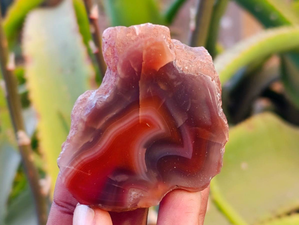 Polished On One Side Red Sashe River Agate Nodules x 20 From Zimbabwe - Toprock Gemstones and Minerals 