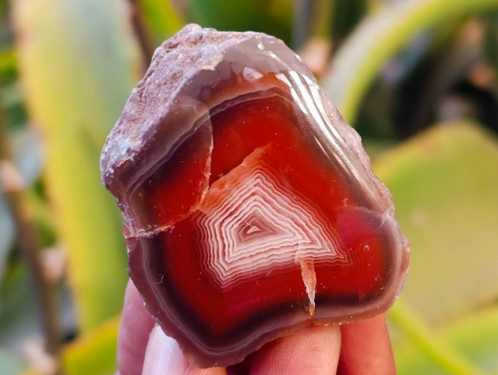 Polished On One Side Red Sashe River Agate Nodules x 20 From Zimbabwe - Toprock Gemstones and Minerals 