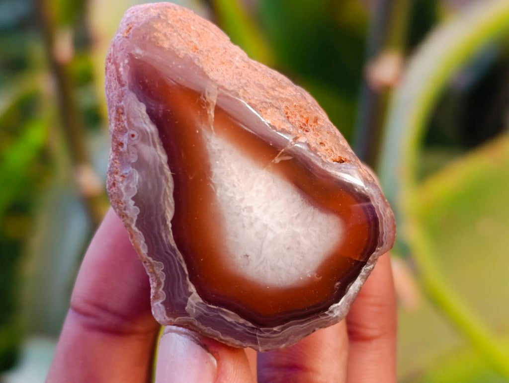 Polished On One Side Red Sashe River Agate Nodules x 20 From Zimbabwe - Toprock Gemstones and Minerals 
