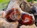 Polished On One Side Red Sashe River Agate Nodules x 20 From Zimbabwe - Toprock Gemstones and Minerals 