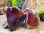 Polished On One Side Red Sashe River Agate Nodules x 20 From Zimbabwe - Toprock Gemstones and Minerals 
