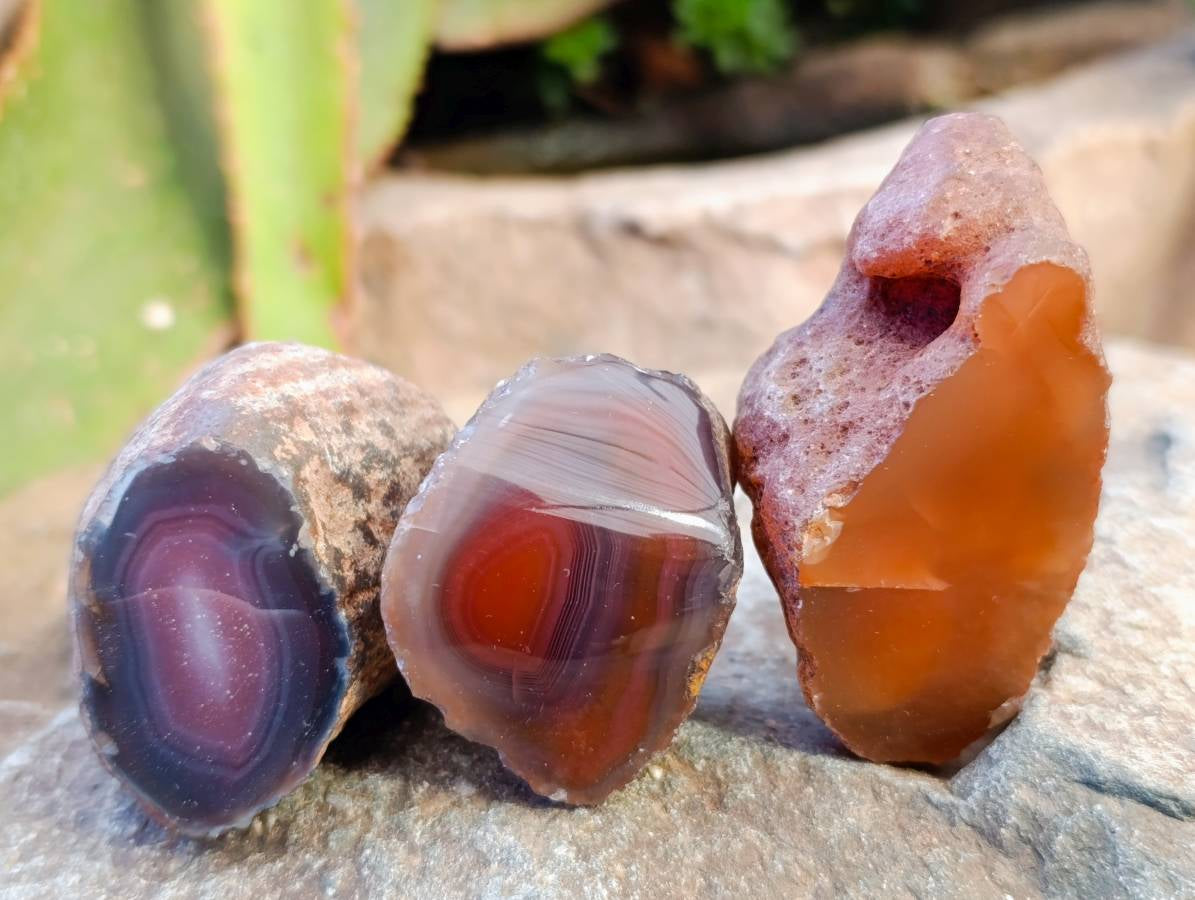 Polished On One Side Red Sashe River Agate Nodules x 20 From Zimbabwe - Toprock Gemstones and Minerals 