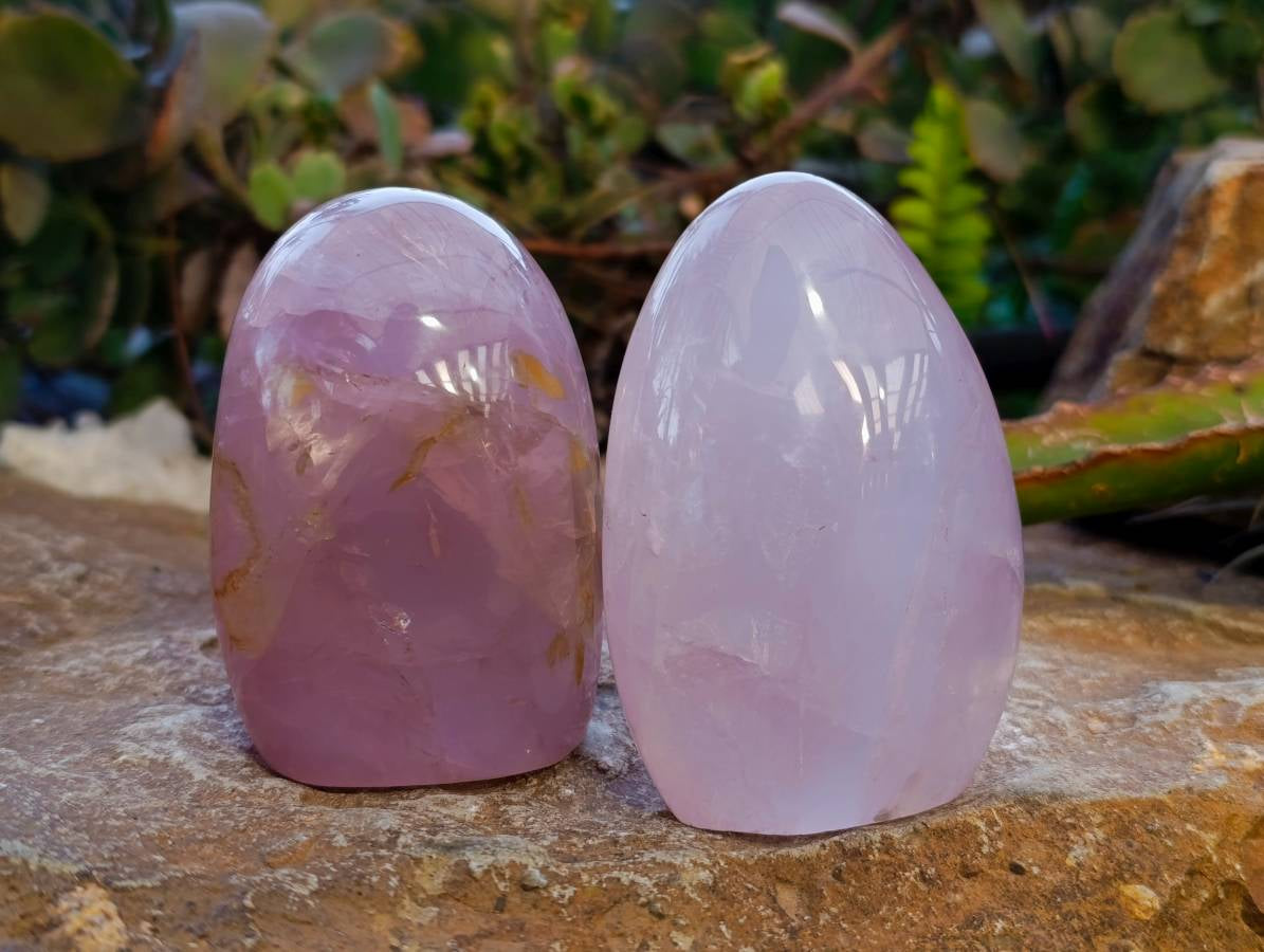 Polished Rose Quartz Standing Free Forms x 4 From Madagascar - Toprock Gemstones and Minerals 