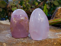 Polished Rose Quartz Standing Free Forms x 4 From Madagascar - Toprock Gemstones and Minerals 
