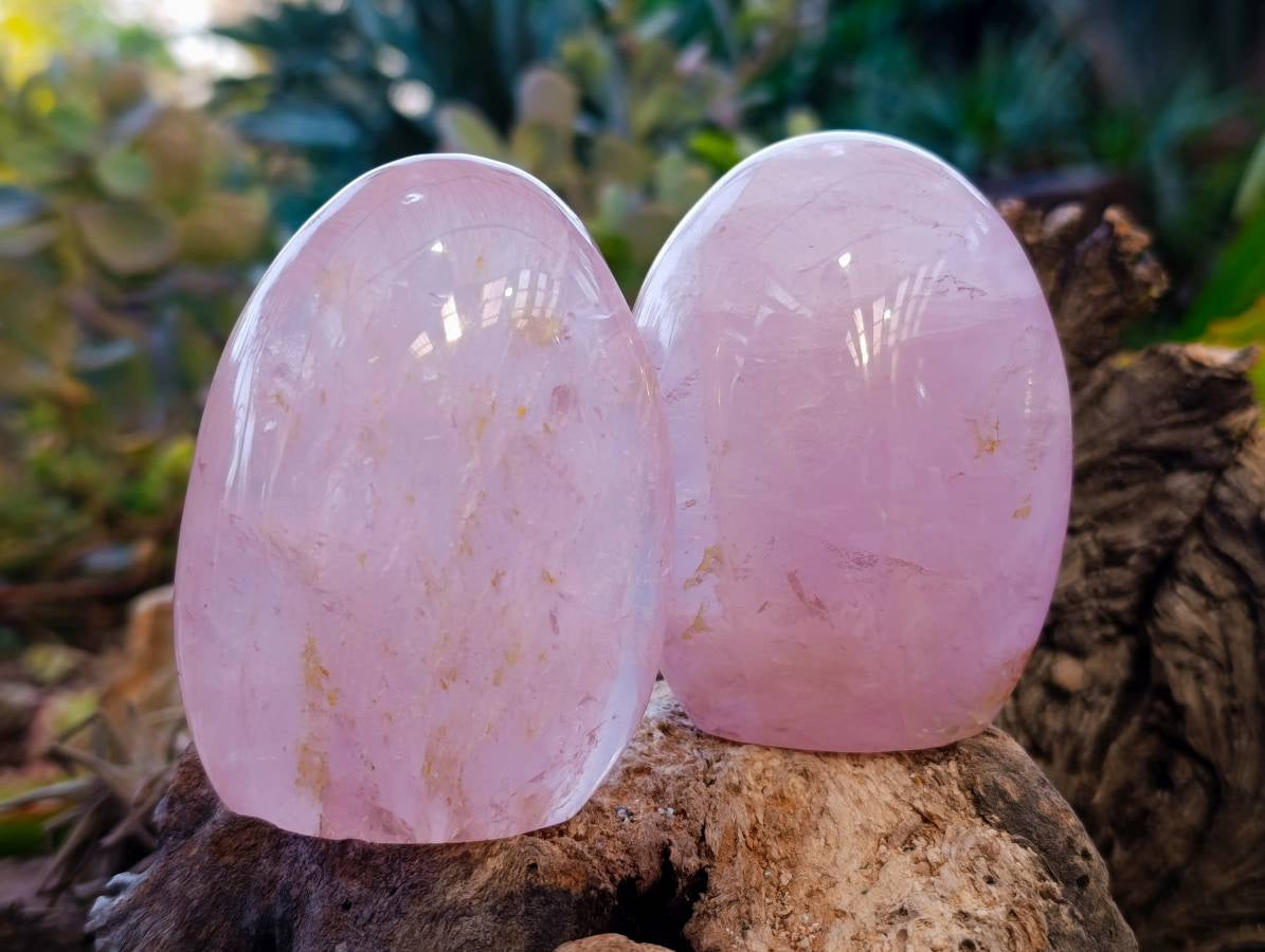 Polished Rose Quartz Standing Free Forms x 4 From Madagascar - Toprock Gemstones and Minerals 