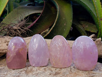 Polished Rose Quartz Standing Free Forms x 4 From Madagascar - Toprock Gemstones and Minerals 