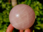 Polished Star Rose Quartz Spheres x 4 Ambatondrazaka, Madagascar - Toprock Gemstones and Minerals 