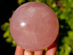 Polished Star Rose Quartz Spheres x 4 Ambatondrazaka, Madagascar - Toprock Gemstones and Minerals 