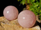 Polished Star Rose Quartz Spheres x 4 Ambatondrazaka, Madagascar - Toprock Gemstones and Minerals 
