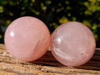 Polished Star Rose Quartz Spheres x 4 Ambatondrazaka, Madagascar - Toprock Gemstones and Minerals 