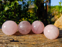 Polished Star Rose Quartz Spheres x 4 Ambatondrazaka, Madagascar - Toprock Gemstones and Minerals 