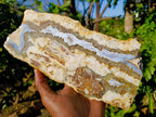 Polished On One Side Blue Lace Agate Slices x 2 From Namibia - Toprock Gemstones and Minerals 