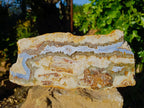 Polished On One Side Blue Lace Agate Slices x 2 From Namibia - Toprock Gemstones and Minerals 