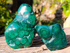 Polished Flower Banded Malachite Free Forms x 6 From Congo - Toprock Gemstones and Minerals 