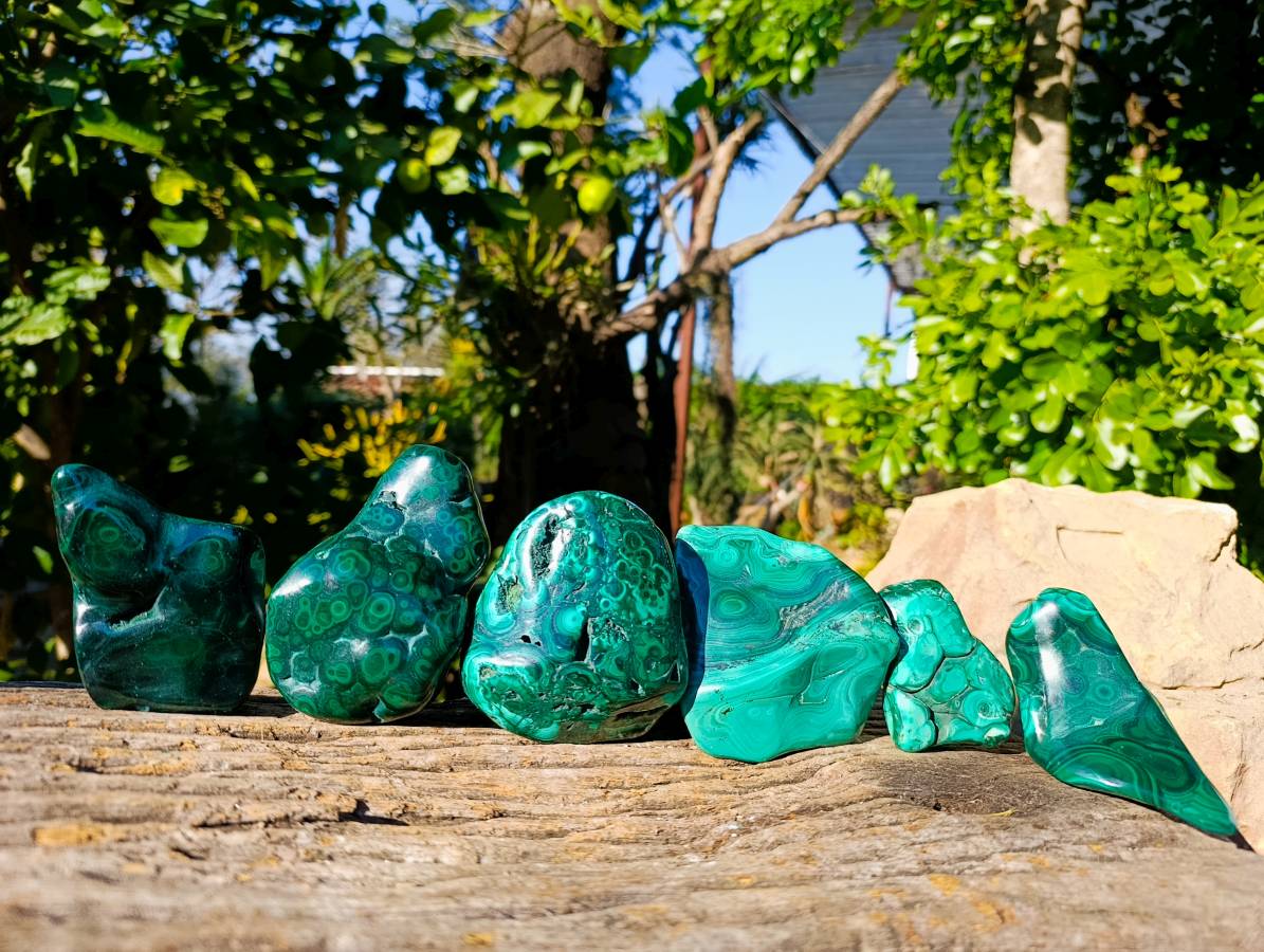 Polished Flower Banded Malachite Free Forms x 6 From Congo - Toprock Gemstones and Minerals 